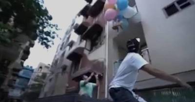 В Индии арестовали блогера, отправившего собаку в небо на связке шаров
