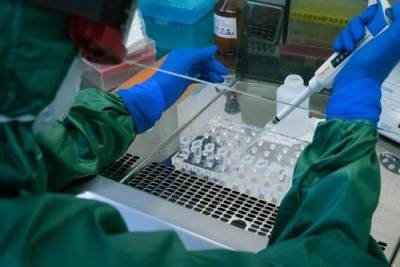 Украинские учёные неплохо продвинулись в тематике «ковидного» иммунитета