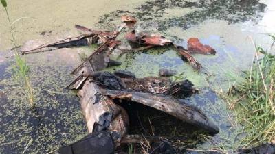 Автомобиль со скелетом в салоне обнаружили в пруду в Тюмени — видео