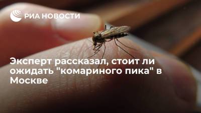 Эксперт рассказал, стоит ли ожидать "комариного пика" в Москве
