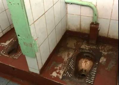 «Как из фильма ужасов»: В России школьники ужаснули снимками санузлов в своих школах