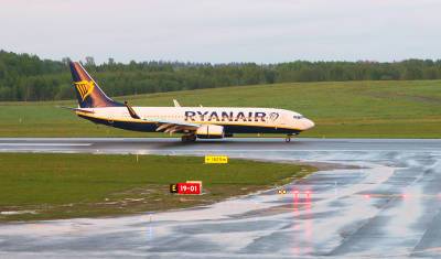 Принудительную посадку самолета Ryanair в Минске изучат эксперты ICAO