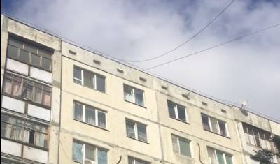 В Тюмени на улице Широтной под крышей замуровали голубей с птенцами