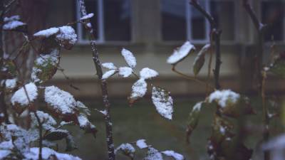 Снег выпал в одном из районов Карелии