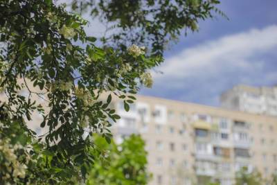 В Волгоградской области 29 мая пройдут дожди, грозы при +31 °С