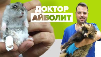 «Я самый счастливый человек»: ветеринар из Белоруссии ставит на лапы животных с тяжёлыми травмами