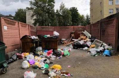 Мать выбросила в мусорный бак: в Ивано-Франковске спасают младенца
