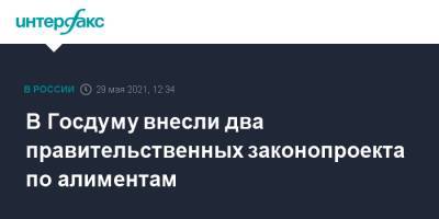 В Госдуму внесли два правительственных законопроекта по алиментам