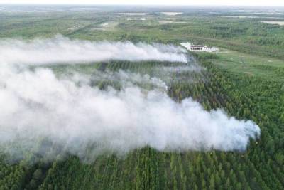 Восемь торфяных пожаров тушили во Владимирской области с начала года