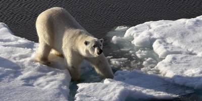 Перечислены последствия изменения климата Арктики для России