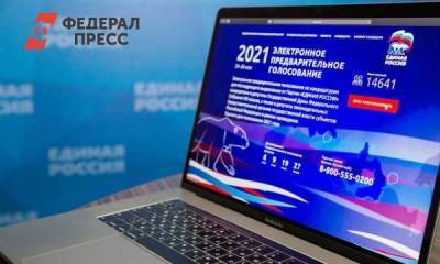 «Единая Россия» задает тренды в организации дистанционного голосования