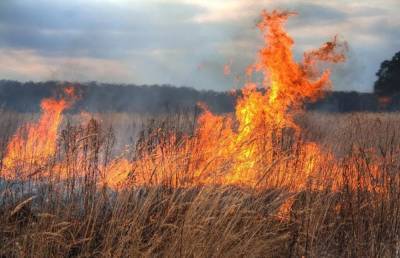До 4 класса поднят уровень пожарной опасности в шести районах Тверской области