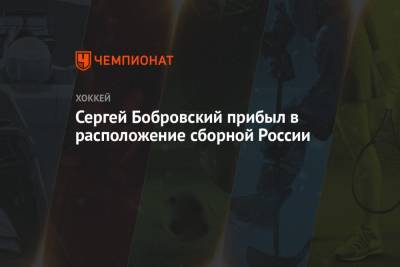 Сергей Бобровский прибыл в расположение сборной России