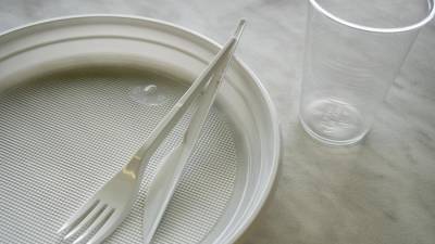 Эндокринолог предупредила об опасности разогретой в пластиковой посуде еды