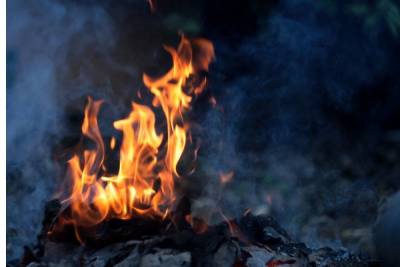Найдены трое поджигателей мебельного магазина на Васильевском острове