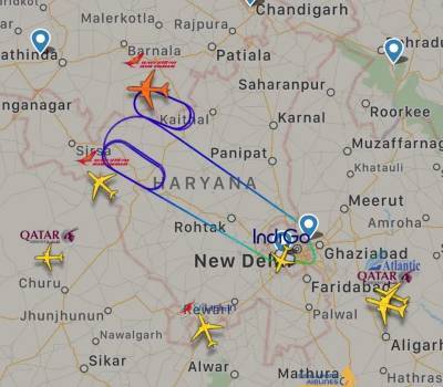 Рейс Air India вернулся в аэропорт после обнаружения летучей мыши в бизнес-классе