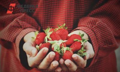 Россиянам объяснили, как выбрать ягоды без химикатов
