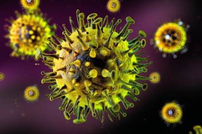 В коронавирусе нашли доказательства, что Китай создал инфекцию искусственно