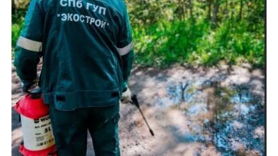 Экологи ликвидировали пятна нефти в поселке Белоостров