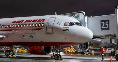 Самолет Air India вернулся в аэропорт вскоре после взлета из-за летучей мыши на борту (видео)