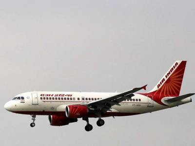 Летучая мышь прервала полет авиакомпании Air India