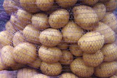 Украинский - Цены на картофель снова взлетят. Украинский продают вдвое дороже импортного - novostiua.news - Украина