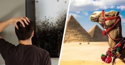 Эпидемия черных грибов вторгается в Египет: туризм полностью защищен, усиливая на курортах меры безопасности