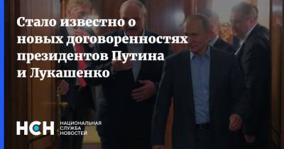 Стало известно о новых договоренностях президентов Путина и Лукашенко