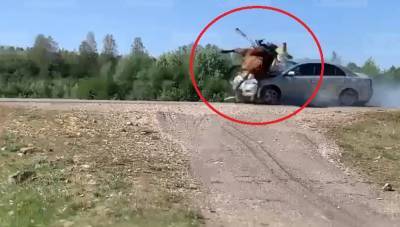 В Башкирии водитель протаранил повозку с людьми: видео