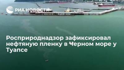 Росприроднадзор зафиксировал нефтяную пленку в Черном море у Туапсе