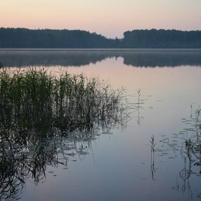 После затопления катера в Вологодской области спасены семь человек