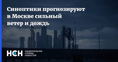 Синоптики прогнозируют в Москве сильный ветер и дождь