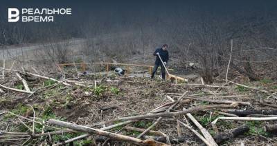 Из татарстанских лесов вывезли более 900 куб. метров мусора и сухостоя