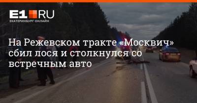 На Режевском тракте «Москвич» сбил лося и столкнулся со встречным авто