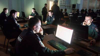 В МВД рассказали о программе для выявления серийных киберперступлений