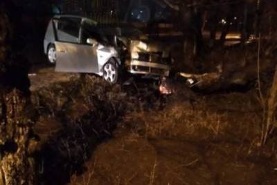Водитель не справился с управлением и врезался в дерево на Набережной в Чите