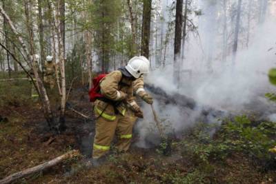 В Хабаровском крае потушили последние лесные пожары