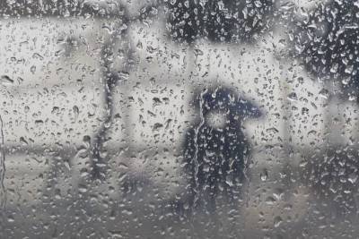 Дождь ожидается в большинстве районов Амурской области 4 мая