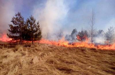 В МЧС рассказали, сколько домов сгорело в РФ из-за пала сухой травы весной