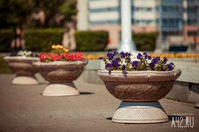 Мэр Новокузнецка рассказал, сколько цветов украсят парки и скверы города