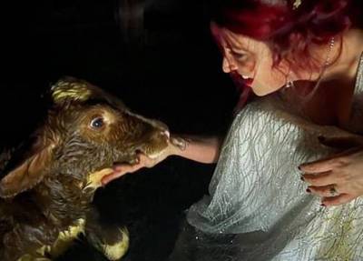«Ждала чего-то подобного»: невеста приняла роды у коровы на собственной свадьбе