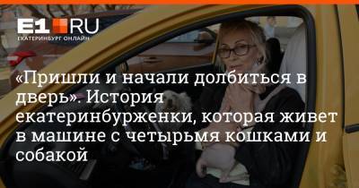 «Пришли и начали долбиться в дверь». История екатеринбурженки, которая живет в машине с четырьмя кошками и собакой