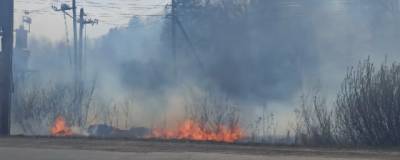 В Челябинской области за умышленные поджоги лесов разыскивается мотоциклист