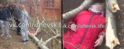 75-летняя ижевчанка, которую придавило упавшим деревом, скончалась в больнице