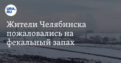 Жители Челябинска пожаловались на фекальный запах