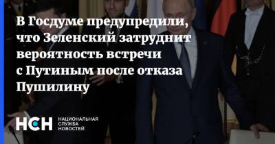 В Госдуме предупредили, что Зеленский затруднит вероятность встречи с Путиным после отказа Пушилину