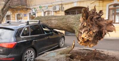 Закрывайте окна и держитесь дальше от деревьев: в Украине объявили штормовое предупреждение - названы области