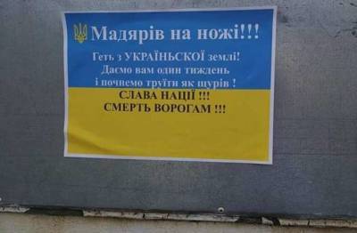 Листовки с угрозами украинским венграм расклеили в Берегове