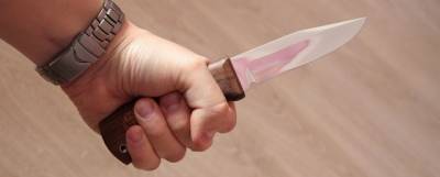 Жителя Гатчины задержали за убийство знакомого ножом в живот