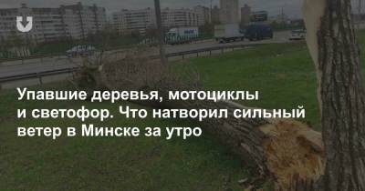 Упавшие деревья, мотоциклы и светофор. Что натворил сильный ветер в Минске за утро